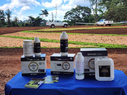 Ecossistema Cogny contará com Embrapa e tecnologias validadas pela instituição na Tecnoshow