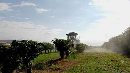 Manejo de Resistência no campo é tema de novo curso do CropLife Conecta