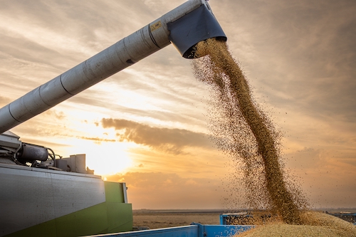 Safra recorde de grãos em 2025/26 pressiona demanda por temporários na "safra de verão"