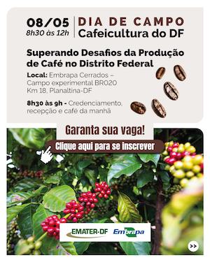  Dia de Campo vai discutir soluções para desafios da cafeicultura no DF; inscrições até terça (5)