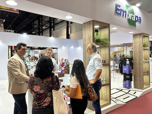 Embrapa leva fartura de sabores do pinhão da Araucária para degustação na Anuga 2026