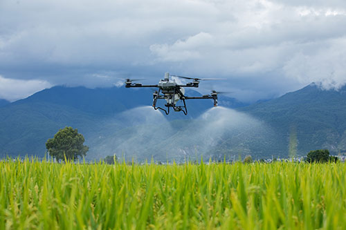 DJI Agras T70P: drone agrícola de alta capacidade revoluciona a eficiência no campo
