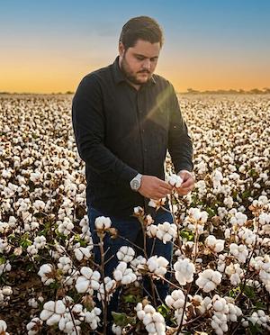 Armadilhas inéditas utilizam ondas eletromagnéticas no monitoramento de pragas no campo