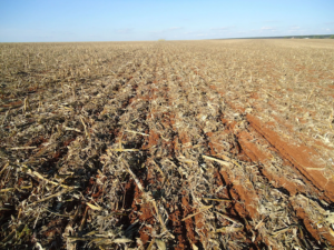 Conservação do solo ganha protagonismo nesta safra e orienta estratégias no campo