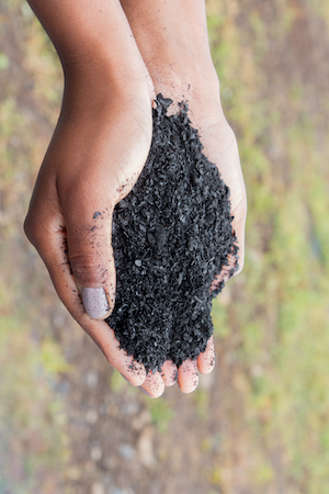 Biochar e tecnologias de restauração ambiental ganham espaço em fórum nacional sobre áreas degradadas