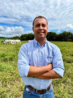 Capim Tamani impulsiona a produção de feno com mais qualidade, rendimento e retorno ao produtor