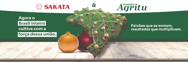 Avanços em genética e tecnologia para cebolicultores ganham destaque em eventos em Ituporanga (SC)