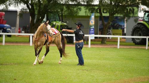 Gestão humanizada e presença digital ditam o ritmo do segundo dia de Tecnoshow COMIGO