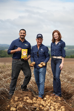 Yara e PepsiCo colhem a primeira batata de baixíssimo carbono do Brasil