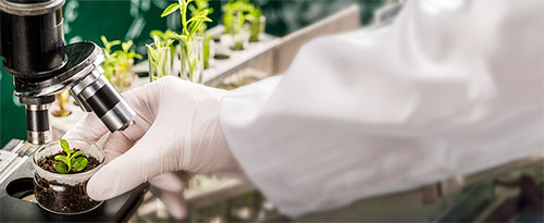 Brasil desponta entre os três maiores mercados globais de bioinsumos, com movimentação de R$ 7 bilhões na última safra