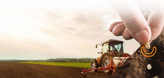 Bioinsumos avançam na horticultura e reforçam produtividade com equilíbrio do solo