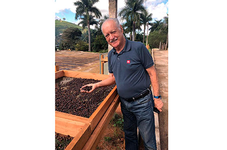 Colheita e pós-colheita definem qualidade e valor do café brasileiro, aponta especialista