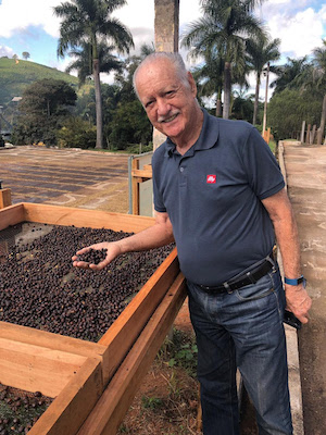 Colheita e pós-colheita definem qualidade e valor do café brasileiro, aponta especialista