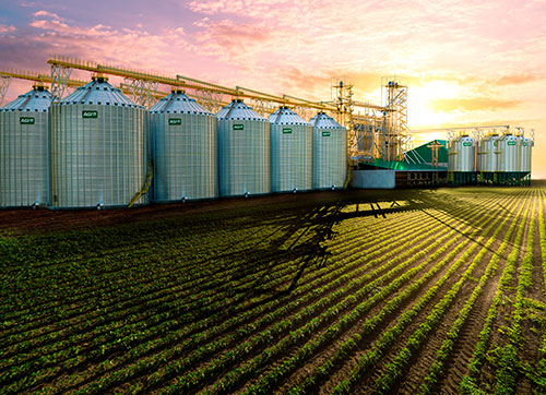 Silo Plano AGI: alta capacidade, segurança estrutural e eficiência na armazenagem de grãos