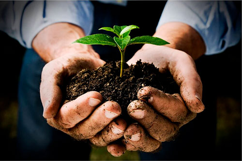 Terra Agro Holding reforça governança e estrutura executiva em fase de crescimento