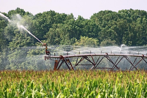 Irrigação gera produtividade e empregos no Brasil, aponta estudo inédito da ABIMAQ e USP/ESALQ