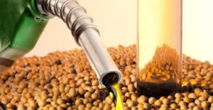 Biocombustíveis à base de soja rastreável colocam Brasil no mapa da transição energética
