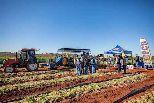 Open Field Day completa 20 anos como vitrine de inovação em horticultura