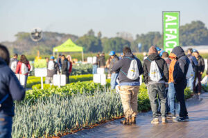 Open Field Day completa 20 anos como vitrine de inovação em horticultura