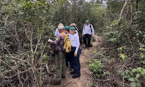 Microrganismos da Caatinga, adaptados a condições extremas, podem gerar bioinsumos eficazes em condições de seca e baixa fertilidade do solo