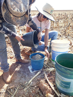  DIA NACIONAL DO CALCÁRIO AGRÍCOLA
