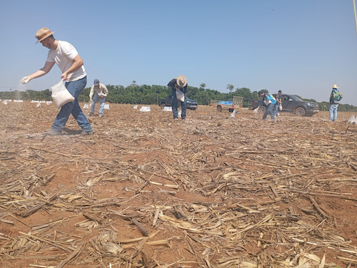  DIA NACIONAL DO CALCÁRIO AGRÍCOLA