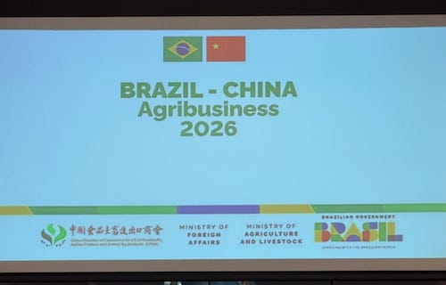  Divinut avança sobre mercado chinês e consolida pecã brasileira em rota de expansão global