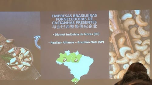  Divinut avança sobre mercado chinês e consolida pecã brasileira em rota de expansão global