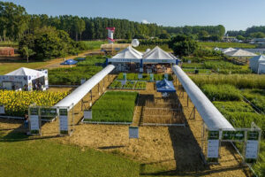 Embrapa participa da AgroBrasília 2026 com lançamentos, tecnologias e eventos técnicos