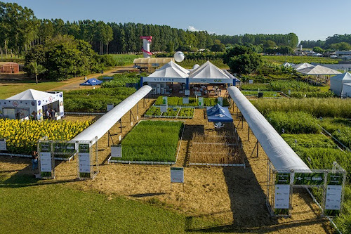 Embrapa participa da AgroBrasília 2026 com lançamentos, tecnologias e eventos técnicos