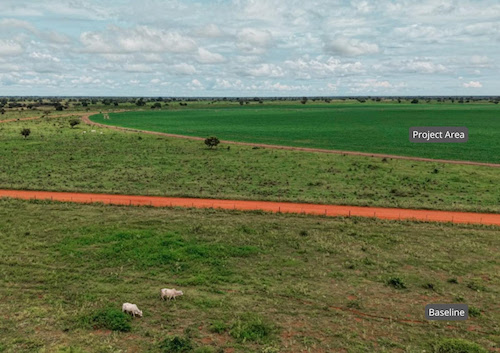 Maior fazenda da América Latina desenvolve projeto de carbono com agricultura regenerativa