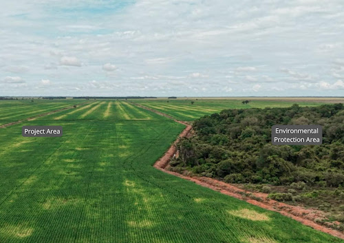 Maior fazenda da América Latina desenvolve projeto de carbono com agricultura regenerativa