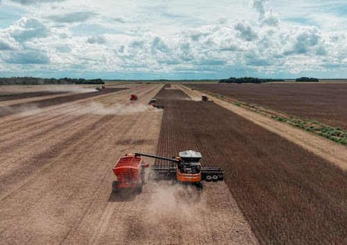 Maior fazenda da América Latina desenvolve projeto de carbono com agricultura regenerativa