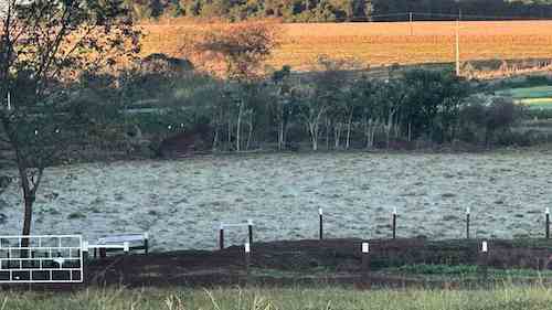 Semana intensa de frio e geadas acende alerta no campo e pressão sobre a safra de grãos 2025/26