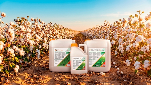 Gulf apresenta insumos com certificação Regenera na Bahia Farm Show