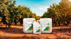 Gulf Agro inicia agenda de eventos do setor com Feibanana e Expocitros