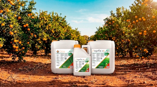 Gulf Agro inicia agenda de eventos do setor com Feibanana e Expocitros
