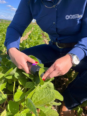 ICL avança como empresa de dados e inovação no agro e consolida NutroScan com mais de 10 mil análises no Brasil