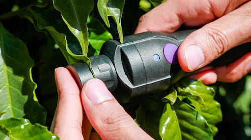ICL avança como empresa de dados e inovação no agro e consolida NutroScan com mais de 10 mil análises no Brasil