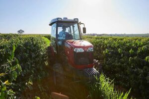 Dia Nacional do Café: mecanização impulsiona produtividade e fortalece liderança brasileira no setor