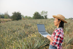 Safra recorde impulsiona contratações no agronegócio