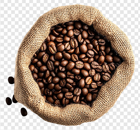 Dia de Campo -Superando desafios da produção de café no Distrito Federal