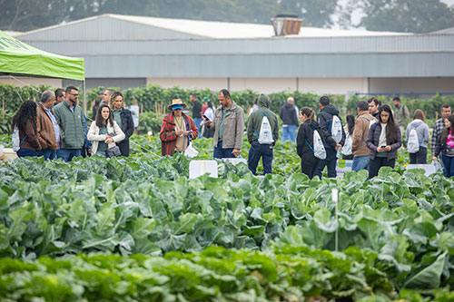  Evento que marcou gerações de produtores completa 20 anos impulsionando a horticultura brasileira