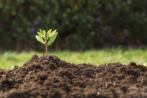 Bahia Farm Show abre caminho para o IV Simpósio Brasileiro de Solos Arenosos, que reunirá grandes nomes da ciência e do agro em setembro
