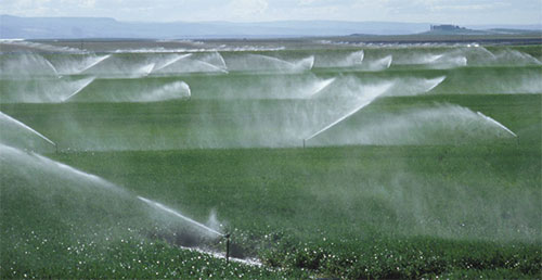 Irrigação pode reduzir riscos do El Niño para a safra brasileira de grãos 2026/27