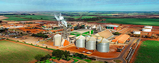Resíduos de paletes de madeira viram energia térmica em indústria de Goiânia