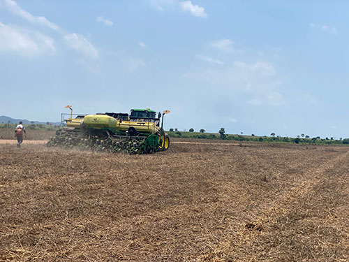Fazenda de cooperado da Castrolanda alcança 76 sacas por hectare na soja do Tocantins