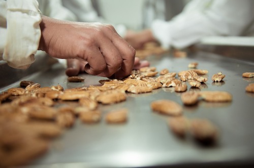 Divinut apresenta na FENARROZ as principais inovações que estão redefinindo o mercado da noz-pecã
