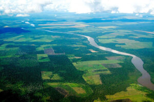 TerraClass divulga dados atualizados sobre cobertura e uso da terra no bioma Amazônia