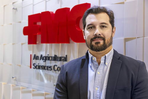 Doenças foliares seguem como um dos principais limitantes da produtividade da soja, com perdas de até 40%